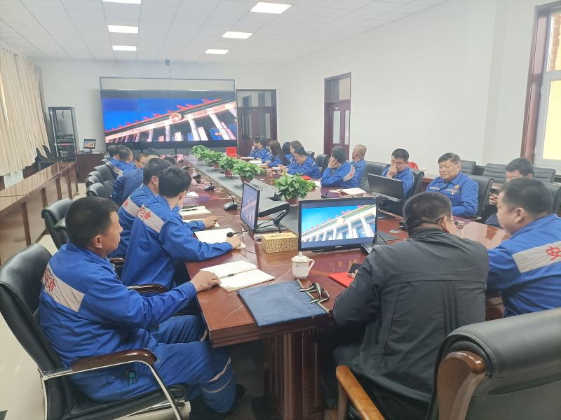 大中矿业党委对于展开“党史进修教导”带动大会 